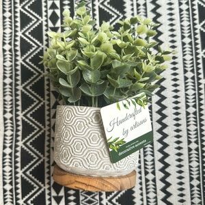 Flora bunda eucalyptus 3.75” cement wood base pot